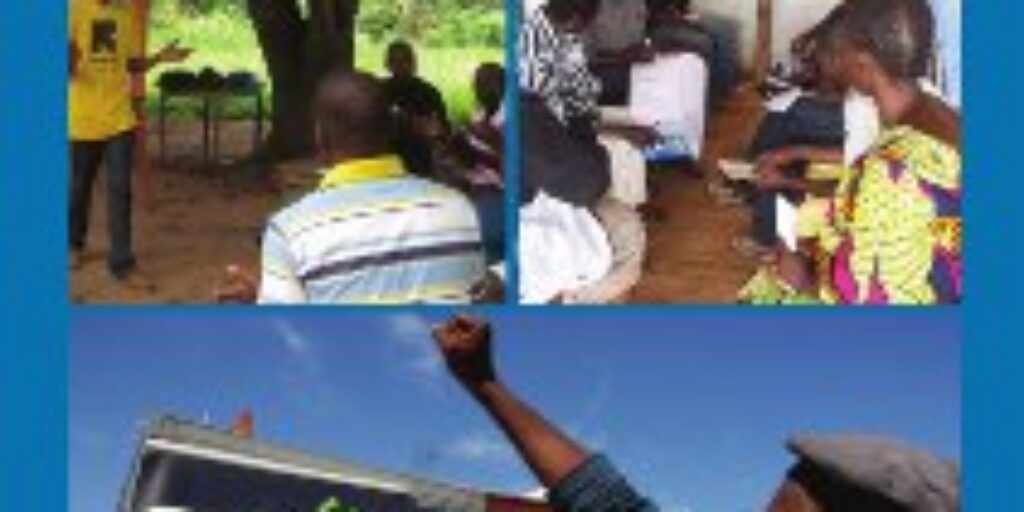 MenEngage Africa Network Regional Organisational Capacity Audit