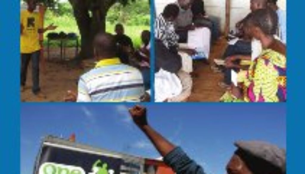 MenEngage Africa Network Regional Organisational Capacity Audit