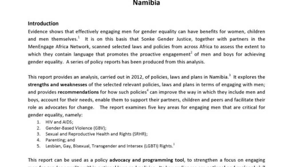 Nambia Policy Report