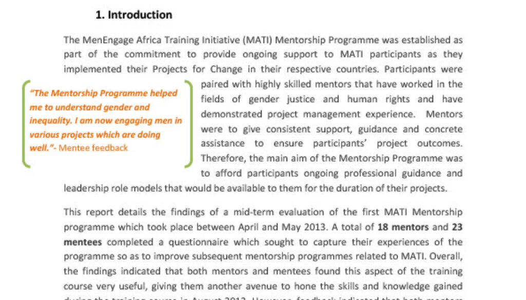 MATI Mentorship Programme Evaluation Report June 2013