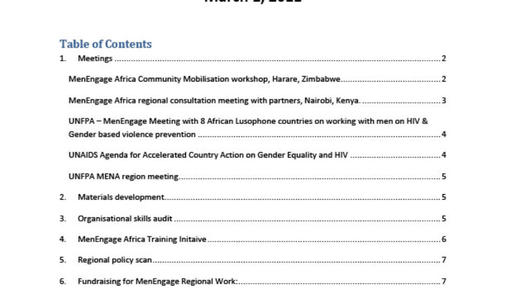 MenEngage Africa Regional Update March 1, 2011