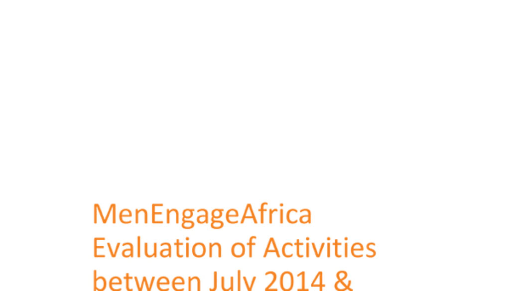 Singizi Evaluation MEA Phase 1