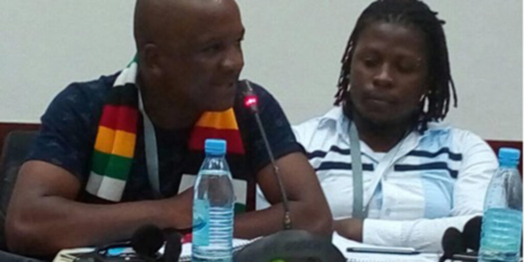 The Africa We Want: Youth Leadership to Strengthen Activism and Partnership on Gender Equality and Social Justice