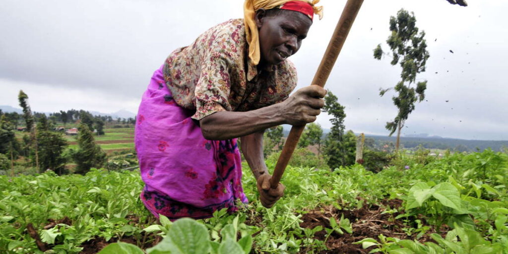 Not yet Uhuru for Women