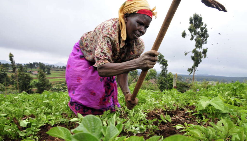 Not yet Uhuru for Women