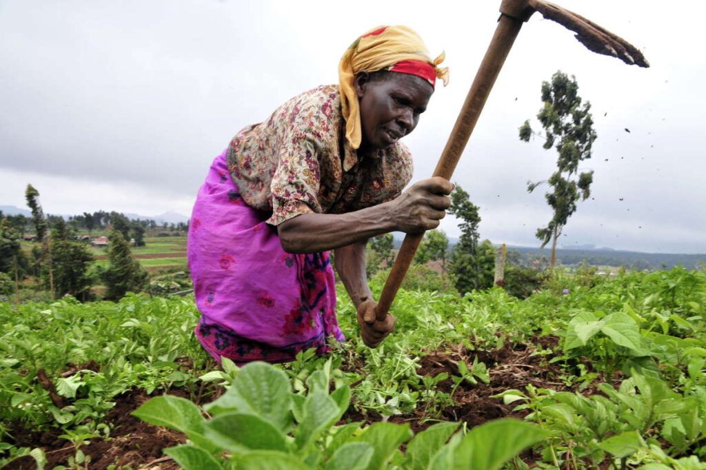 Not yet Uhuru for Women