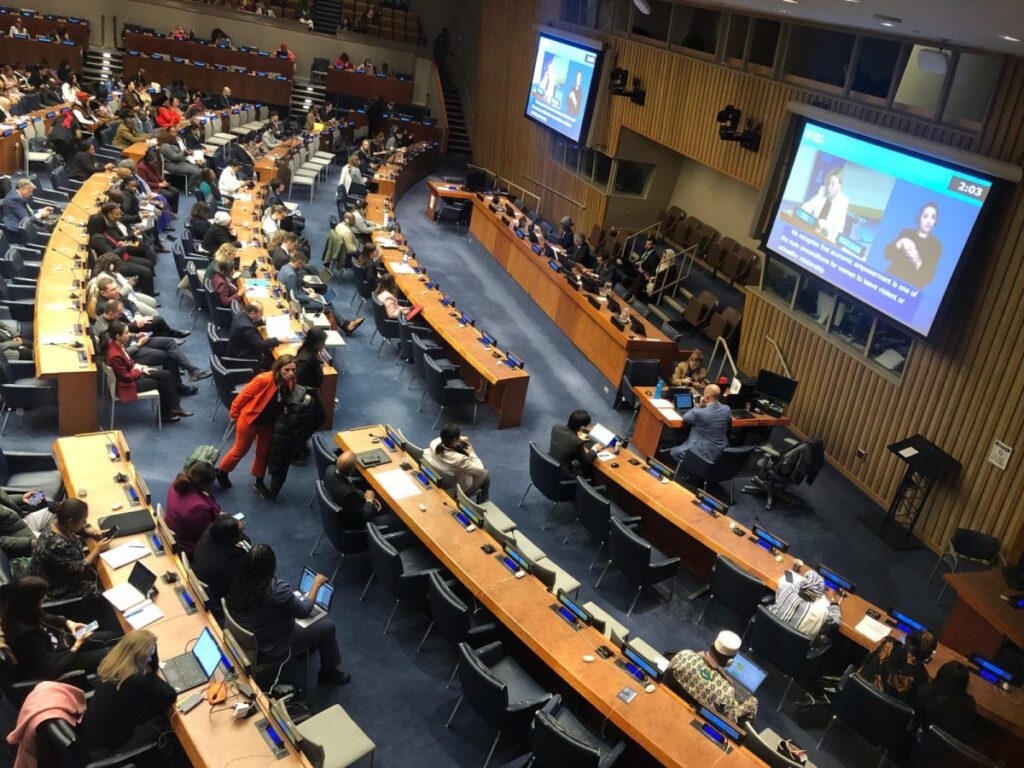 CSW69 adopts Political Declaration