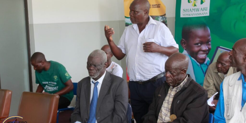 Inside the Chief’s Court: How an old institution became a platform for women’s health rights in Zimbabwe