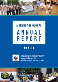 MenEngage_Annual Report to SIDA 2013